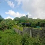 521980081_24399081209704956_2685625164191322680_n