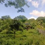 523524973_24399081586371585_2806042863241371116_n