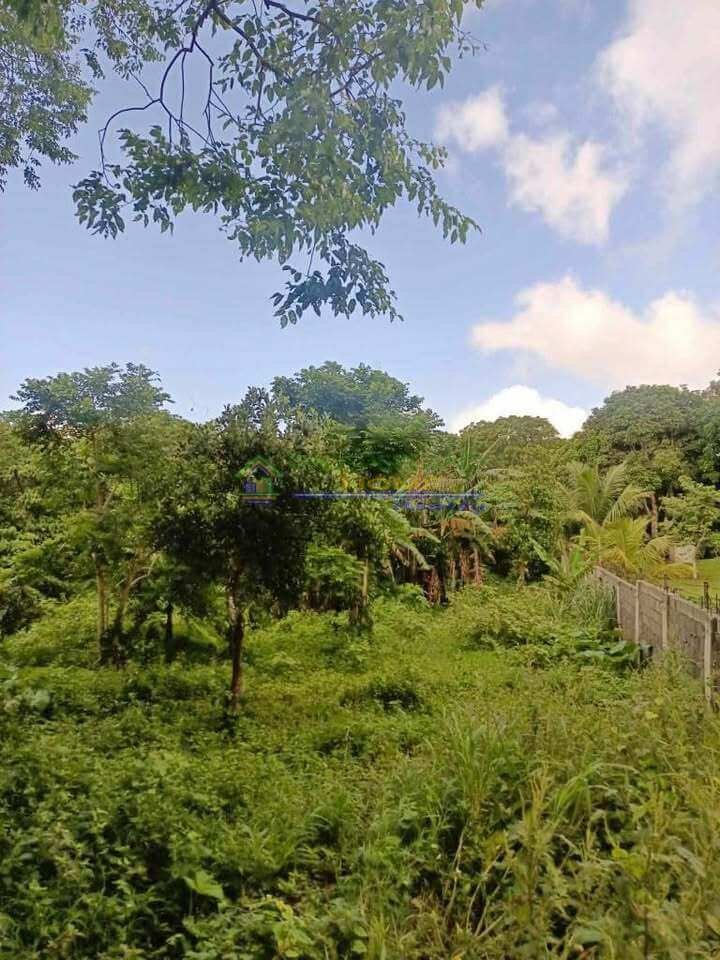 523524973_24399081586371585_2806042863241371116_n