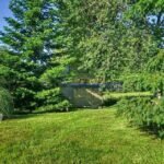 Lawn with trees and a building partially hidden behind foliage.