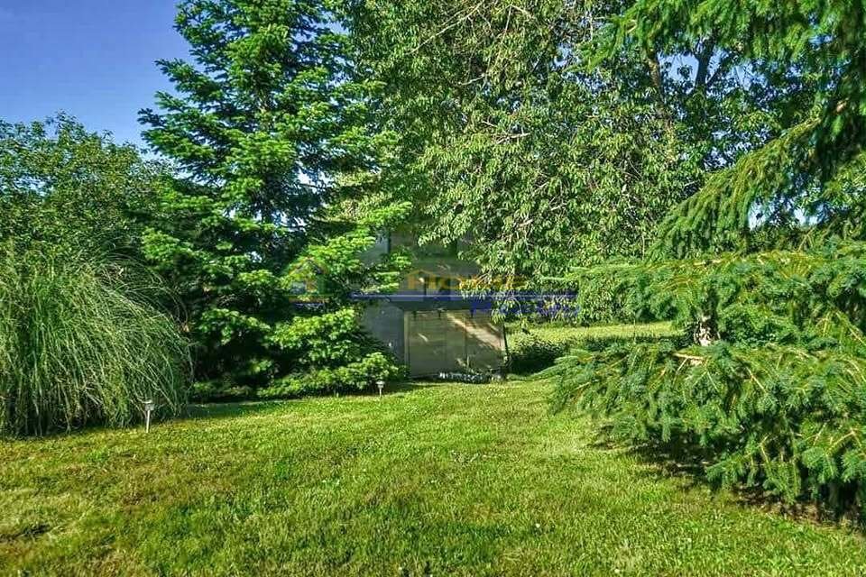 Lawn with trees and a building partially hidden behind foliage.