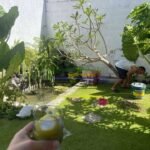 576900099_4301025280219148_4630352876399801523_n