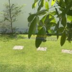 578266972_4301025606885782_8335961652494579380_n