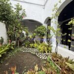 597206178_1189097572654528_5190200636362804899_n