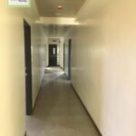 Copy of 436934925_996710701810109_8585464457370413093_n