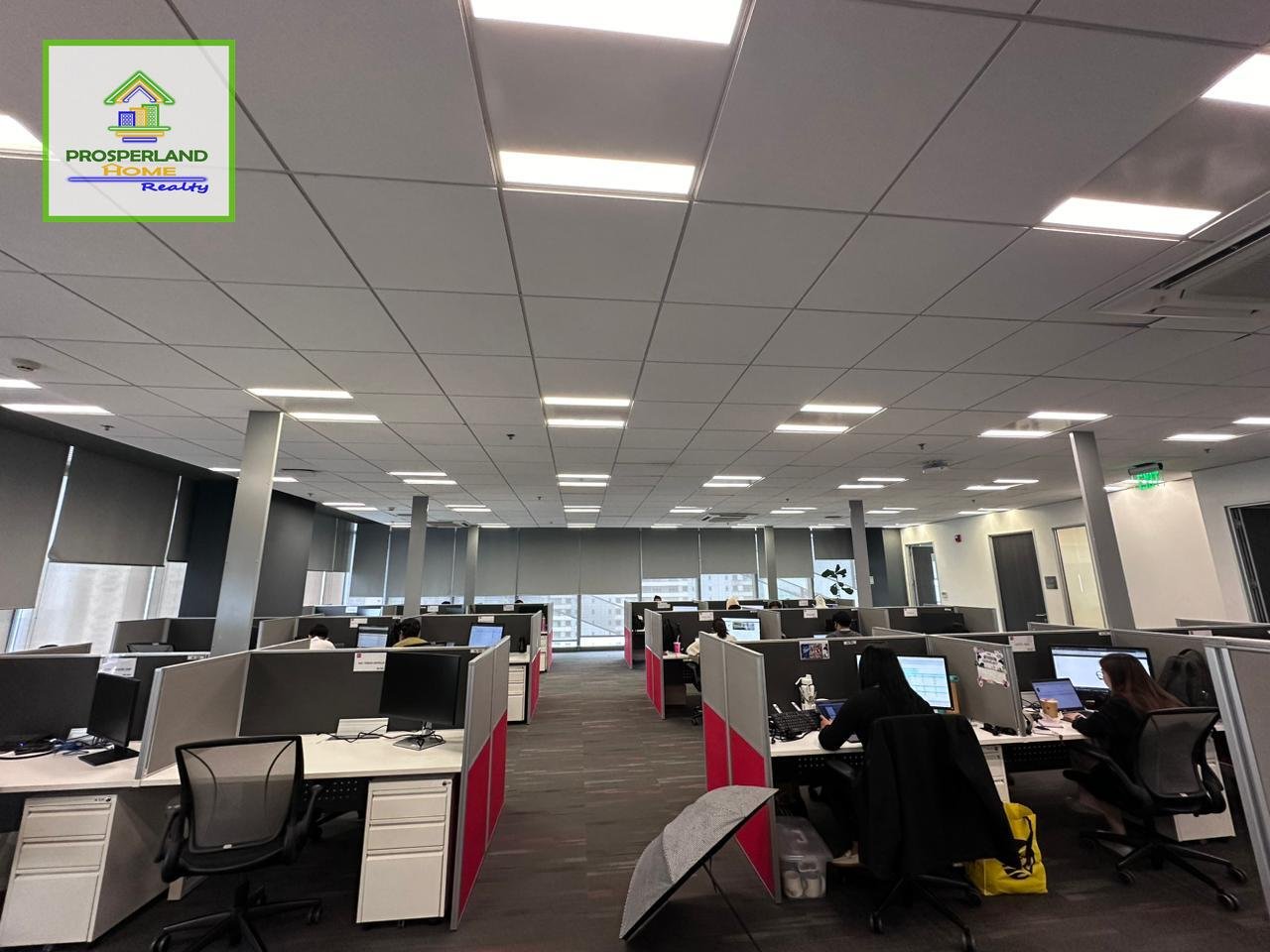 Copy of WhatsApp Image 2024-06-11 at 10.21.55_8a8b2164