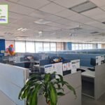 Copy of WhatsApp Image 2024-07-01 at 15.29.14_701df371