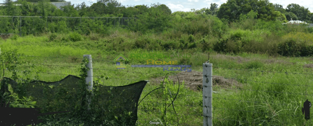 Overgrown field with a barbed wire fence and trees in the background.
