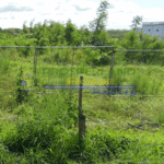 Overgrown grassy lot with chain-link fence and building in the background.
