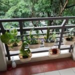 455019156_813459814301147_6969060990264642427_n