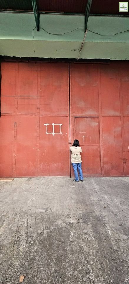 463638458_10233168319618141_7711652725041338849_n