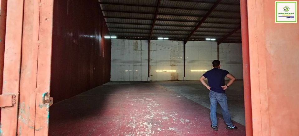 463719259_10233168307857847_1948679590643293618_n