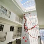 464233841_3514879675322183_6012912862655592741_n-min