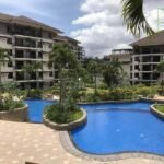 473017989_1820728688701294_8146476388777284460_n