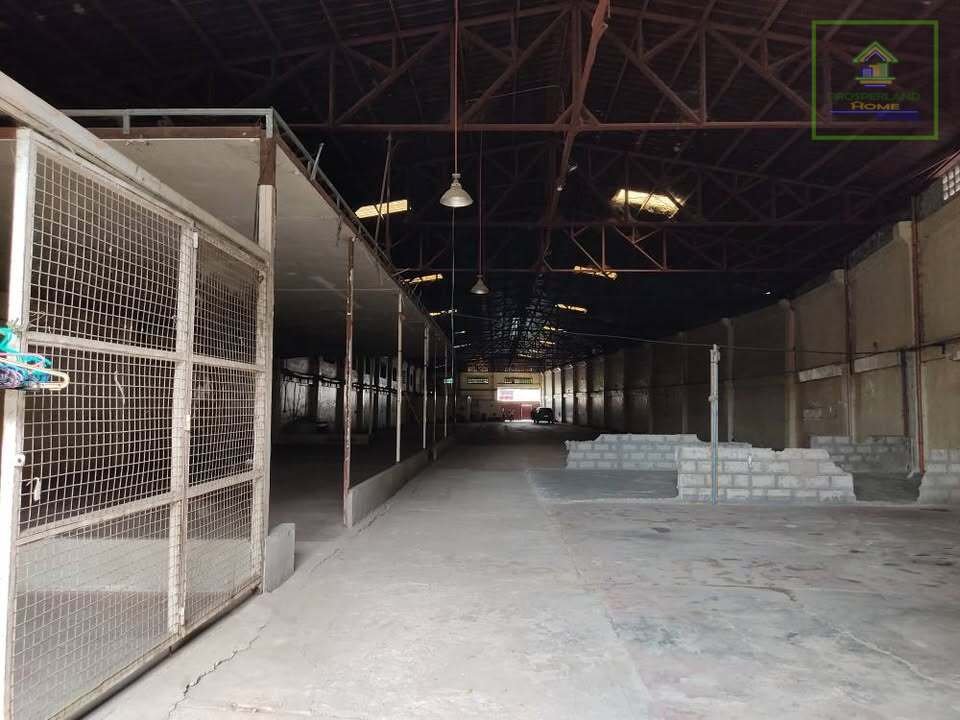 475881747_10163326852814575_6213066086454099611_n