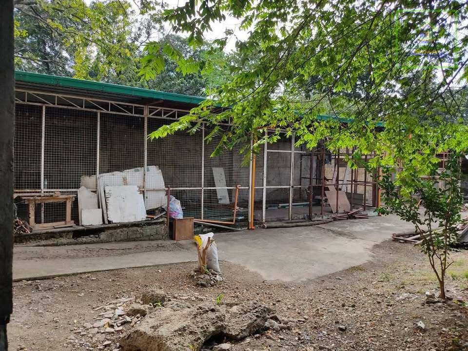 475988149_10163326852774575_7135417003054576716_n