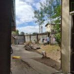 476119039_10163326852534575_4151861402239087476_n