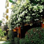 476547093_2101293406997027_1910869488226063430_n-min