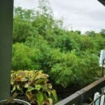 476552270_1473116570329122_3974860351619062951_n-min