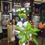 477078856_4159318507631633_2530925528303256335_n