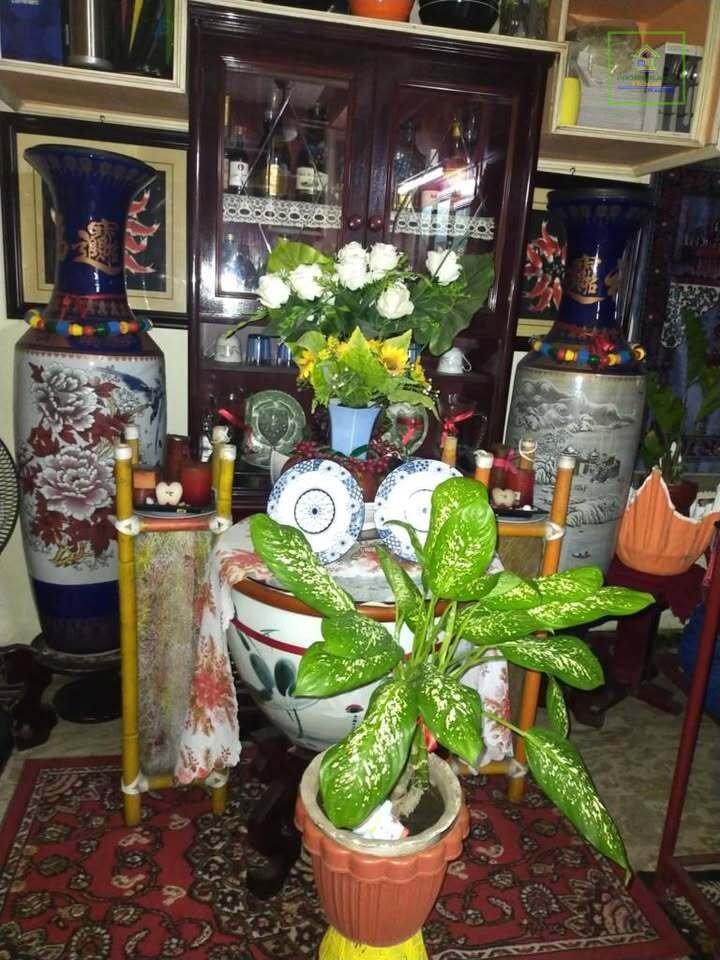 477078856_4159318507631633_2530925528303256335_n