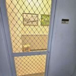 480462536_10235783832557156_7757783939765644621_n-min