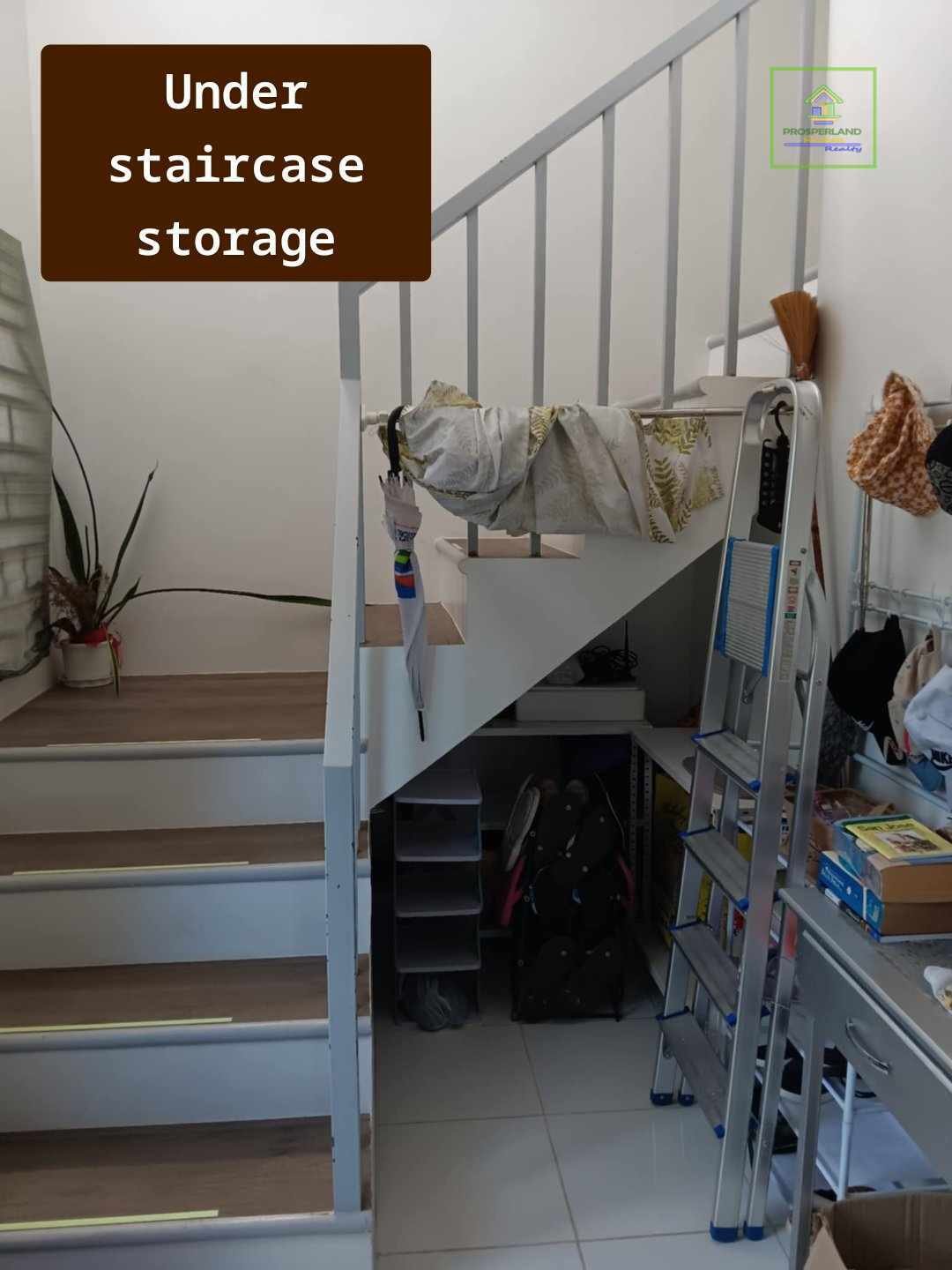 480861194_1142345934052441_3809286249030625127_n