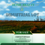 482793432_438760062596067_993335529927624865_n