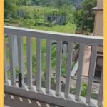 483515511_2226060067811679_8600243288890561737_n