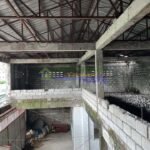 489374372_1374606940243394_467444907326573331_n