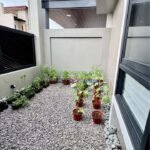 491421562_981741587452224_5407718539730846934_n