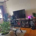 494743861_122188267070050798_2013574399675293813_n