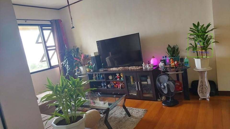 494743861_122188267070050798_2013574399675293813_n