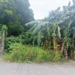 510063969_1092737476039693_7161990293170750972_n