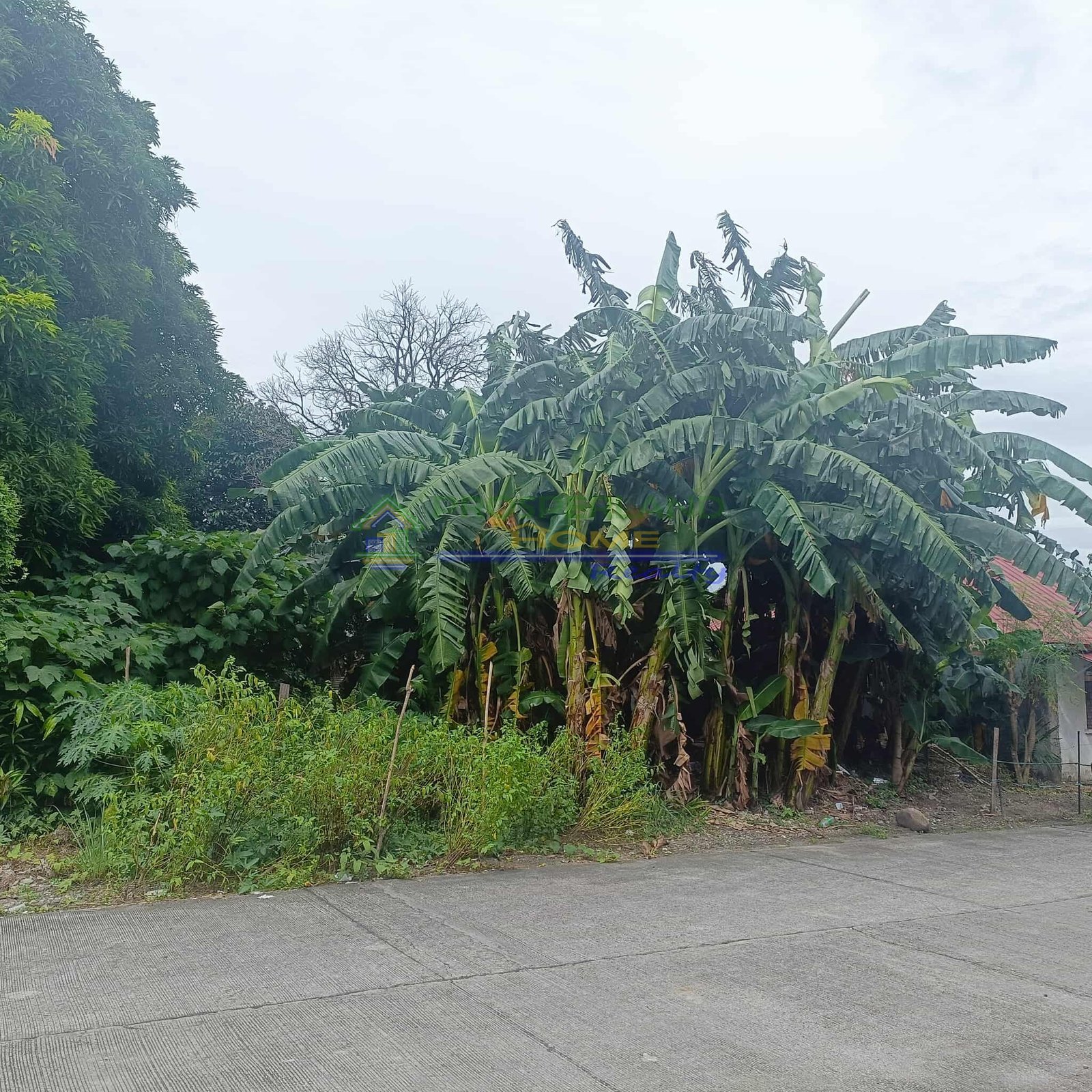 515368653_611539331563286_9189422427769236683_n