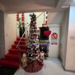 515915880_24560512813534685_110658041977633189_n