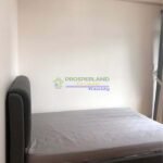 517253822_1419066196101198_8279126077754094973_n