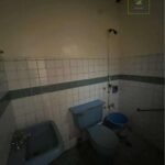 518931389_1045278440921202_3534624597528212155_n