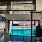 531063683_1462205725082615_1391646440860068399_n