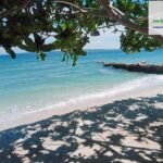 Copy of 1721970609284