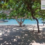 Copy of 1721971002437