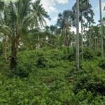 Copy of 436508974_1494281771200180_8438114132135877334_n