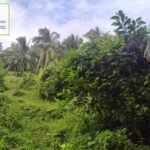 Copy of 436723576_769157785302506_1284155212192957681_n