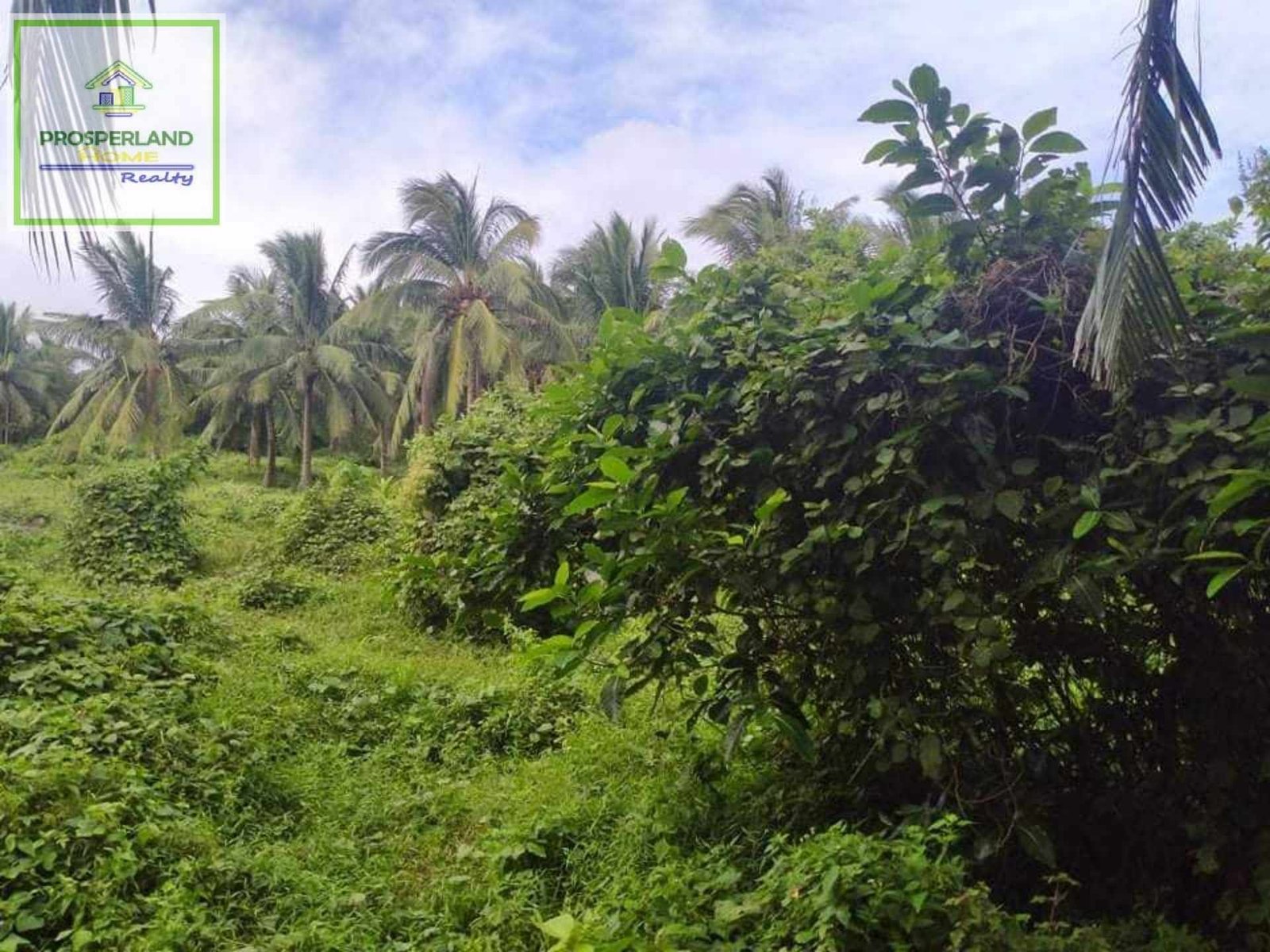 Copy of 436723576_769157785302506_1284155212192957681_n