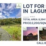 Copy of 438303040_122134979786232164_4279250409137106468_n