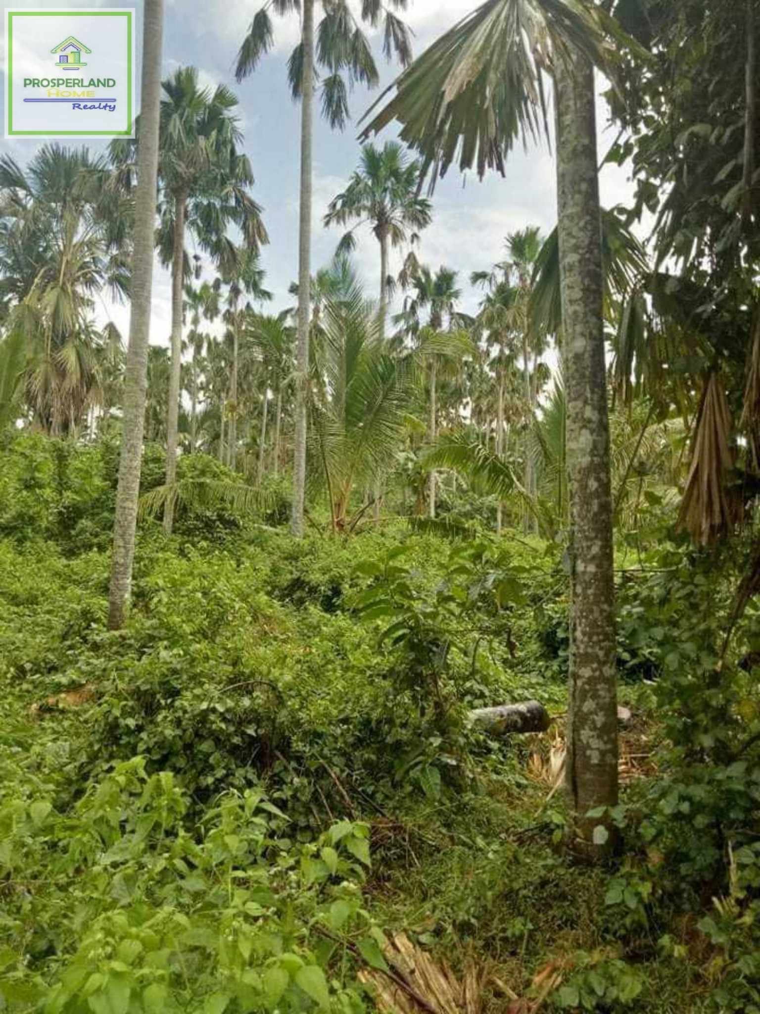 Copy of 441289604_1483464962379818_606206942760582542_n