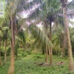 Copy of 444781288_828000119210255_5784573841693692822_n