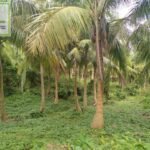 Copy of 444783226_478233901313196_7885126897840073481_n