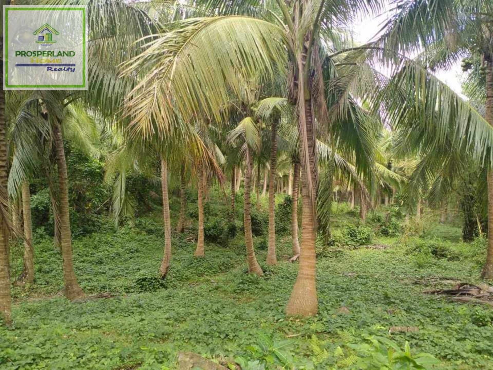 Copy of 444783226_478233901313196_7885126897840073481_n