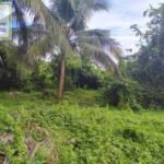 Copy of 444783249_3920697211483955_6335797919491880847_n